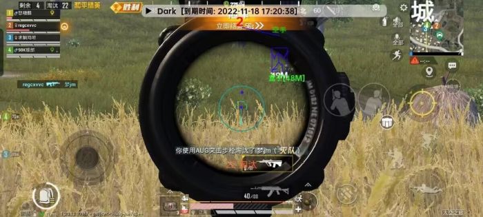 和平精英透视辅助器 - 高清识别稳定运行